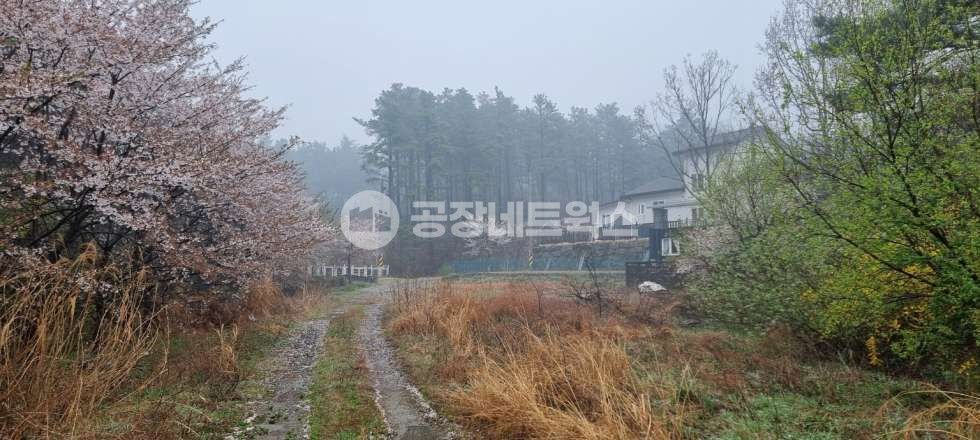 충남 보령시 웅천읍 대창리 충남 보령 식품 공장 다용도 활용가능한 창고 급매매 매매 매물번호 10679 사진 3