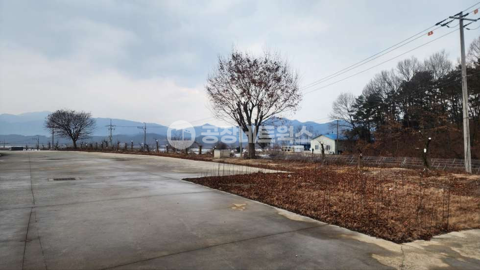 경북 김천시 감천면 광기리 가,나,다,라,마,바,사동 전국 기업 주목 경북 김천 대형 야적장 보유 농수산물 가공·저온창고 매매 매매 매물번호 11397 사진 17