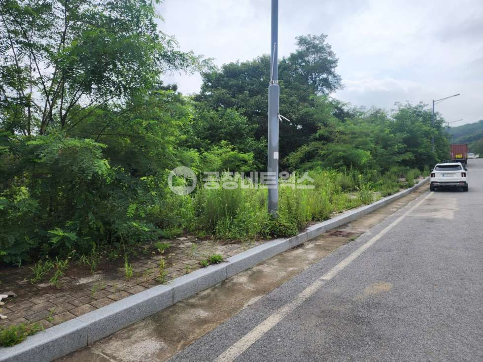 경북 칠곡군 약목면 복성리 경북 칠곡 약목 준공업 20M도로 공장신축시 가능한 부지 매매 매매 매물번호 10459 사진 2